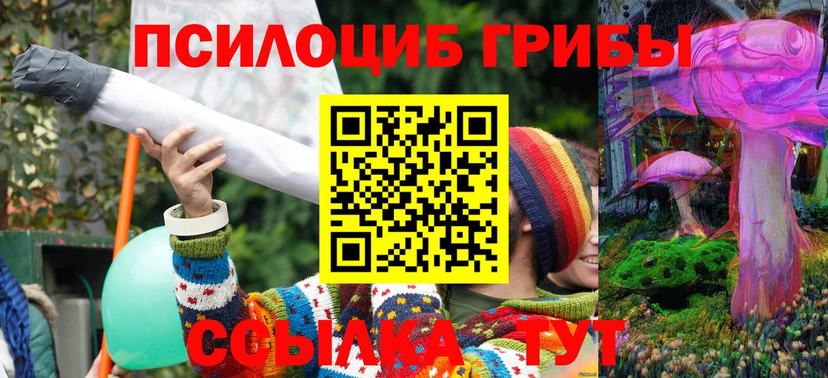 Галлюциногенные грибы Psilocybe  Вход с VPN  Нарткала 